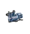 BOMBA PISCINA MAGNIFICA MONOFASICA 1HP 110/220V 60MG2M1HP (PEDROLLO)