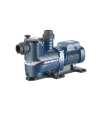 BOMBA PISCINA MAGNIFICA MONOFASICA 1.5HP 220V 60MG3M15HP (PEDROLLO)