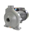 BOMBA CENTRIFUGA 10HP TRIFASICA 220/440V (PEARL)