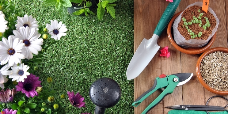 Herramientas de Jardín